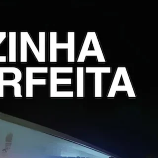 poster - A Vizinha Perfeita