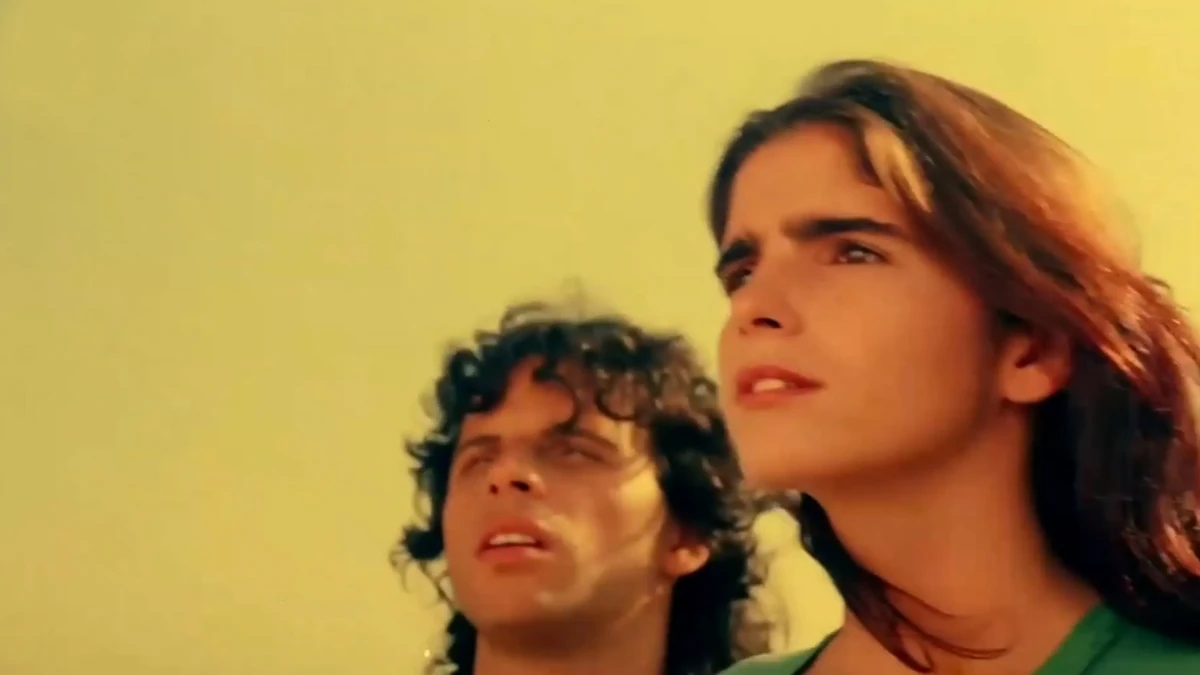 A Memória É Um Acidente: Literatura e Cinema em Feliz Ano Velho 1 feliz