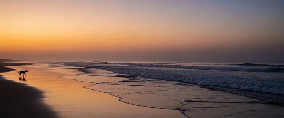 Praia ao entardecer simbolizando o silêncio e a ausência no caso do cão Orelha