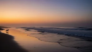 O Cão Orelha e a Crise de Empatia na Cultura Visual Contemporânea 8 O Cão Orelha e a Crise de Empatia na Cultura Visual Contemporânea