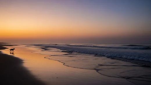 Praia ao entardecer simbolizando o silêncio e a ausência no caso do cão Orelha