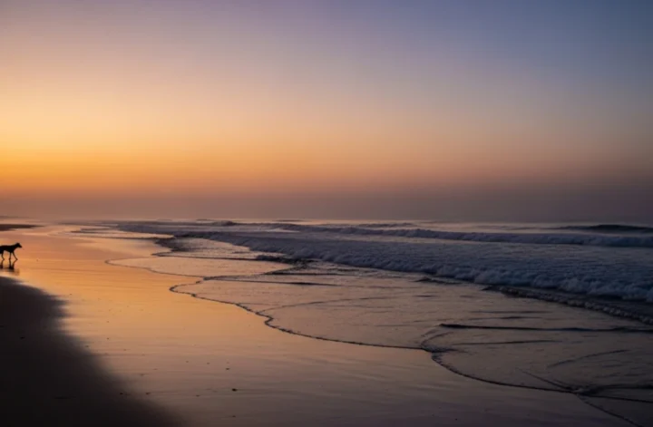 Praia ao entardecer simbolizando o silêncio e a ausência no caso do cão Orelha