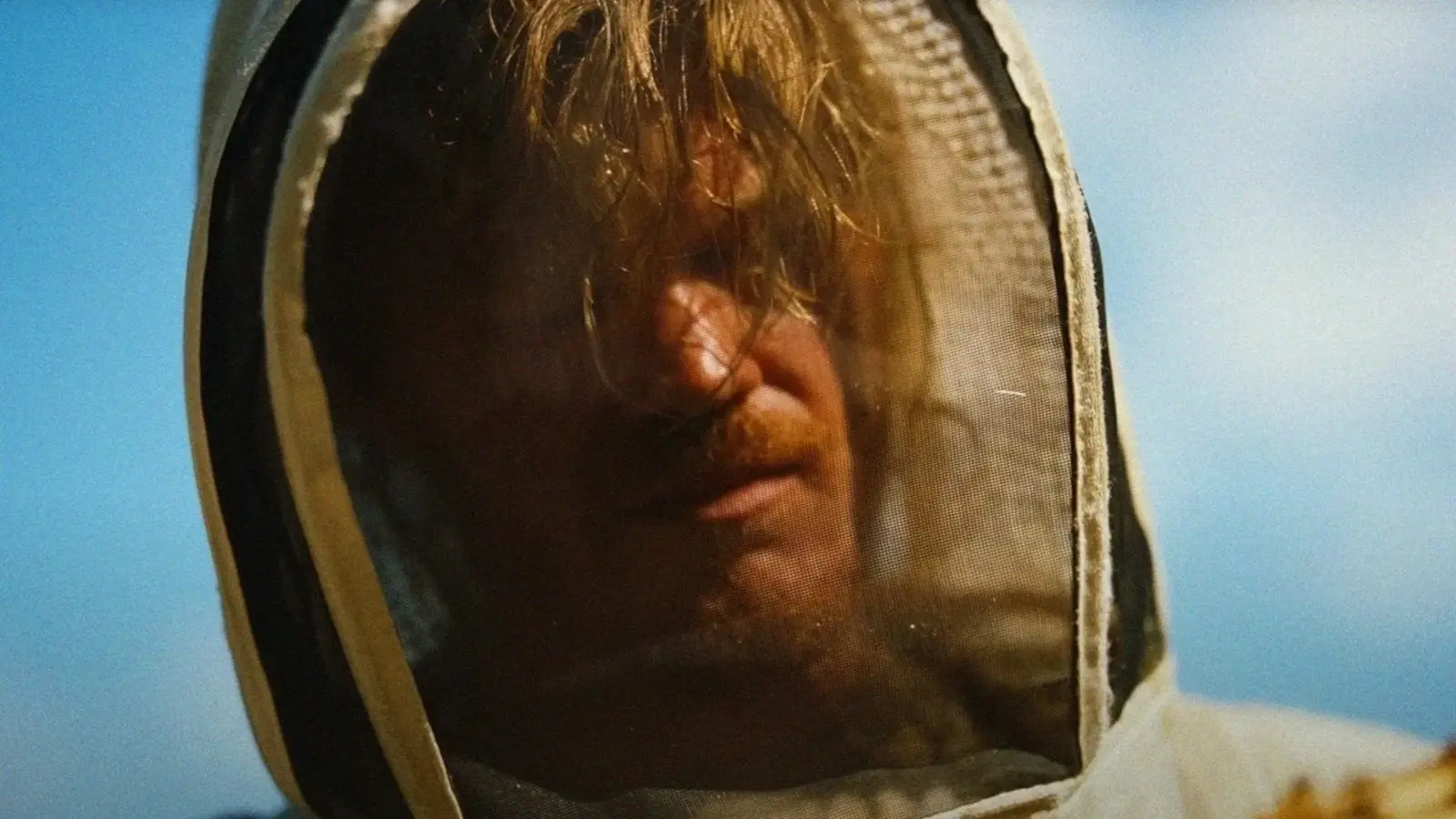 Jesse Plemons usando traje de apicultor em cena do filme Bugonia, simbolizando o desaparecimento das abelhas e a paranoia ecológica.